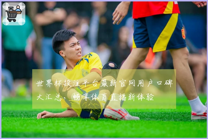 世界杯投注平台最新官网用户口碑大汇总，畅享体育直播新体验