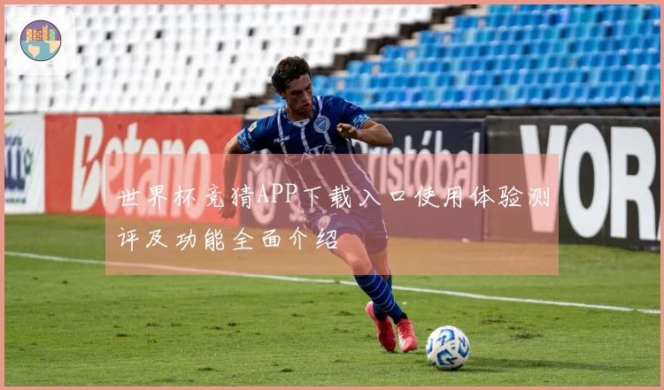 世界杯竞猜APP下载入口使用体验测评及功能全面介绍