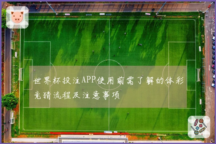 世界杯投注APP使用前需了解的体彩竞猜流程及注意事项