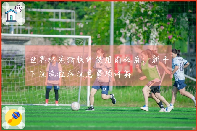 世界杯竞猜软件使用前必看：新手下注流程和注意事项详解