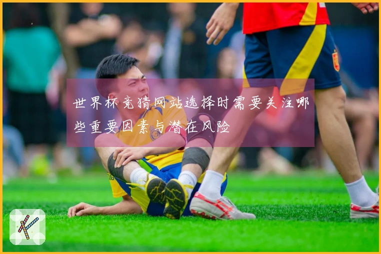 世界杯竞猜网站选择时需要关注哪些重要因素与潜在风险