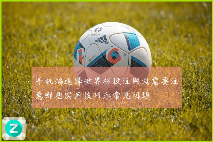 手机端选择世界杯投注网站需要注意哪些实用技巧和常见问题