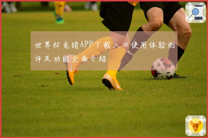 世界杯竞猜APP下载入口使用体验测评及功能全面介绍