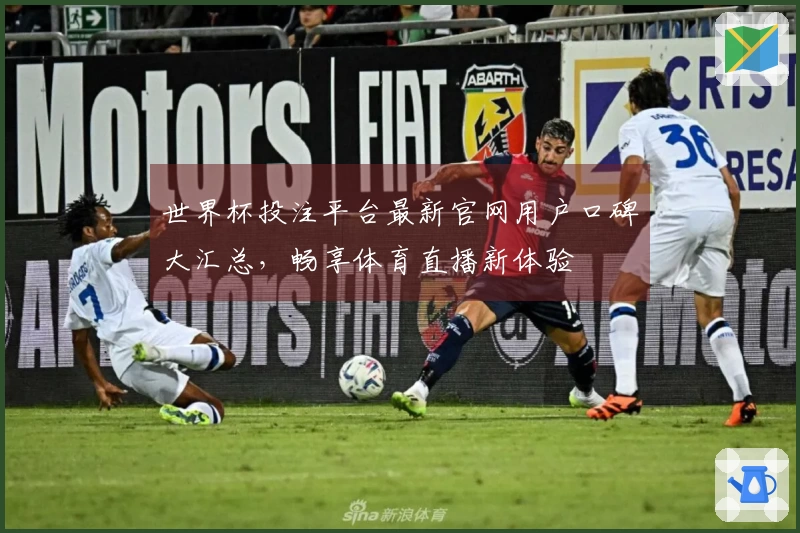 世界杯投注平台最新官网用户口碑大汇总，畅享体育直播新体验