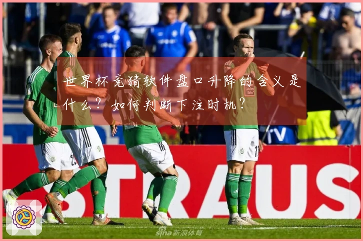 世界杯竞猜软件盘口升降的含义是什么？如何判断下注时机？