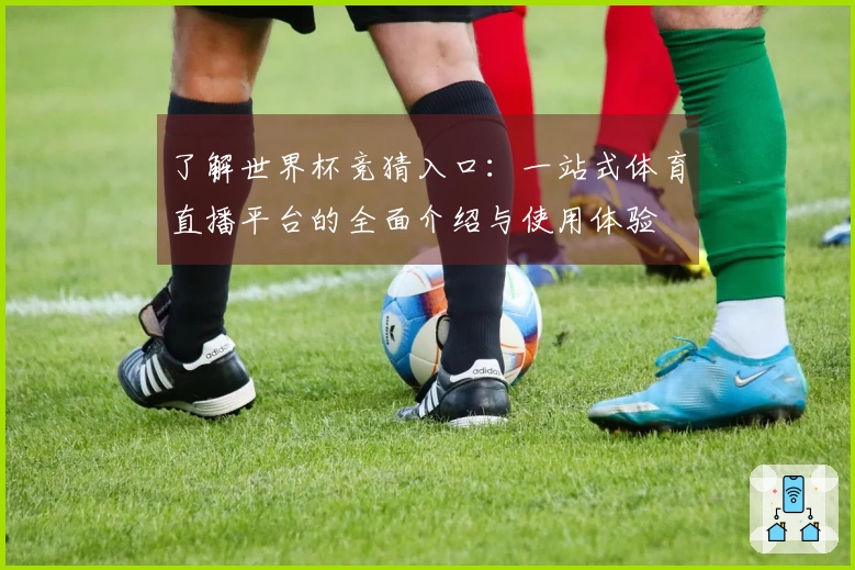 了解世界杯竞猜入口：一站式体育直播平台的全面介绍与使用体验