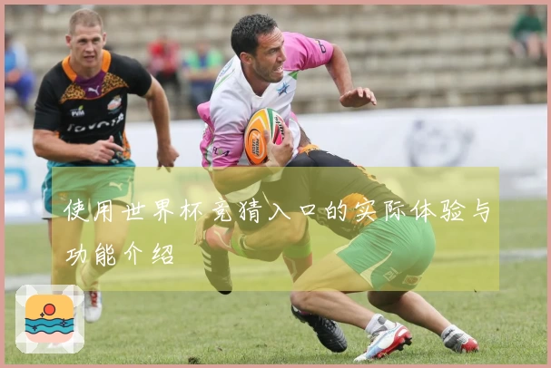 使用世界杯竞猜入口的实际体验与功能介绍