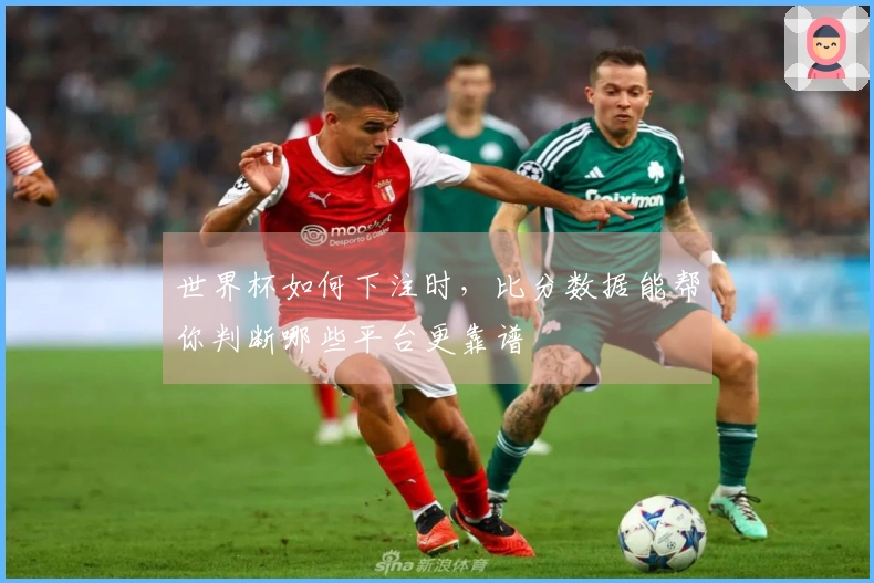 世界杯如何下注时，比分数据能帮你判断哪些平台更靠谱