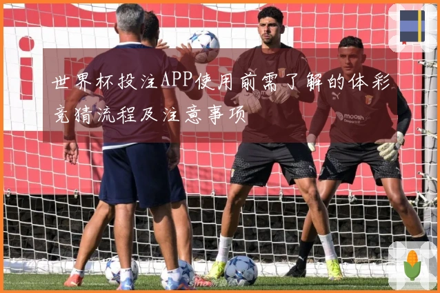 世界杯投注APP使用前需了解的体彩竞猜流程及注意事项