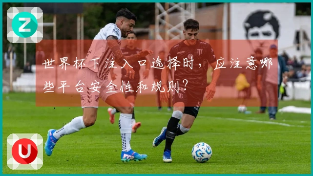 世界杯下注入口选择时，应注意哪些平台安全性和规则？