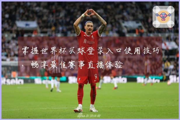 掌握世界杯买球登录入口使用技巧，畅享最佳赛事直播体验