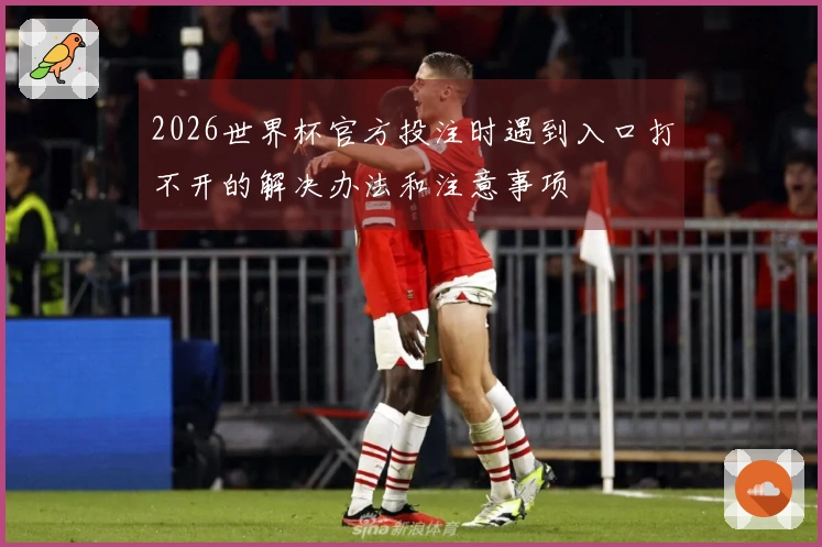 2026世界杯官方投注时遇到入口打不开的解决办法和注意事项