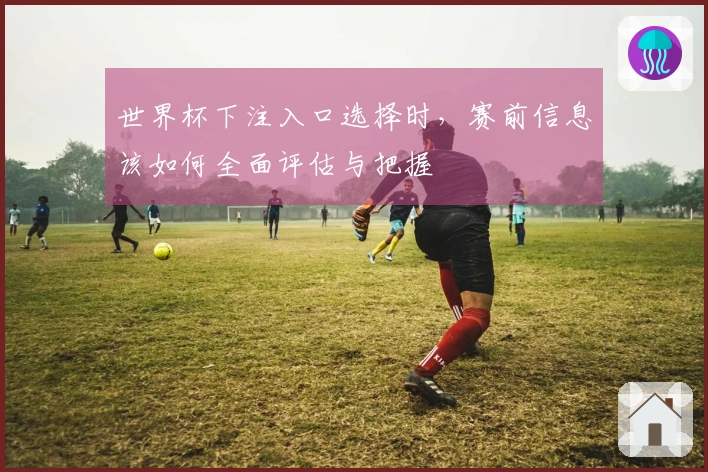 世界杯下注入口选择时，赛前信息该如何全面评估与把握