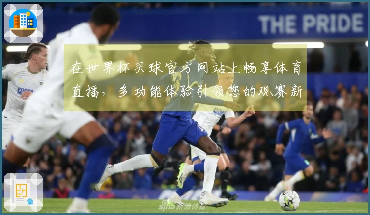 在世界杯买球官方网站上畅享体育直播，多功能体验引领您的观赛新方式