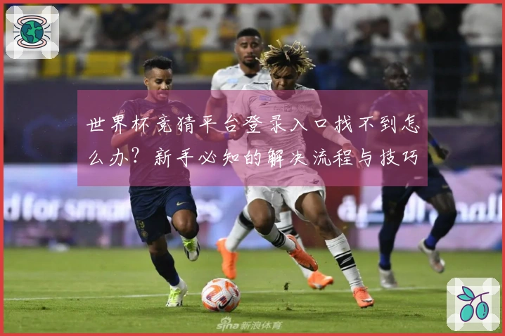 世界杯竞猜平台登录入口找不到怎么办?新手必知的解决流程与技巧